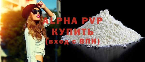 хмурый Болотное