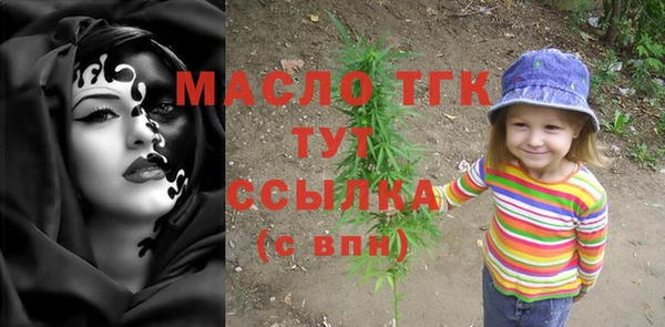 spice Дмитриев