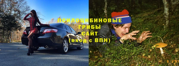 spice Дмитриев