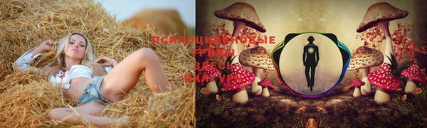 метамфетамин Дмитровск
