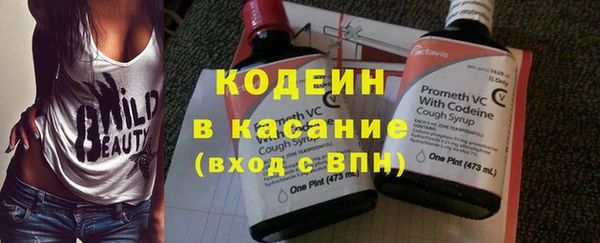 spice Дмитриев
