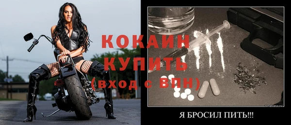 spice Дмитриев