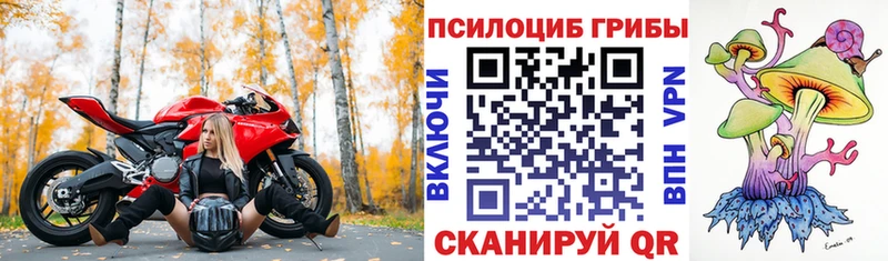 закладки  Камышлов  Псилоцибиновые грибы ЛСД 
